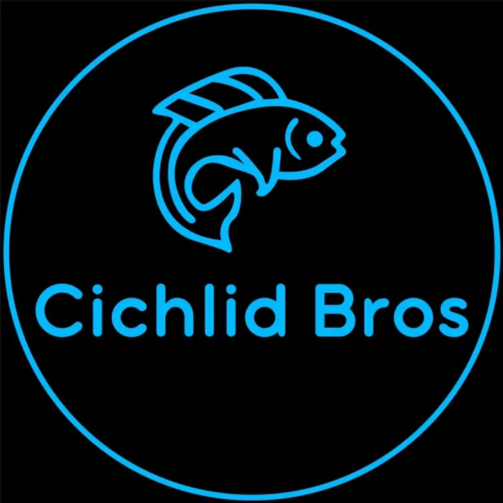 cichlid.bros