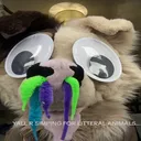 @super_silly_sam
