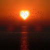 sunset68688