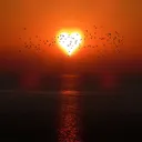 @sunset68688