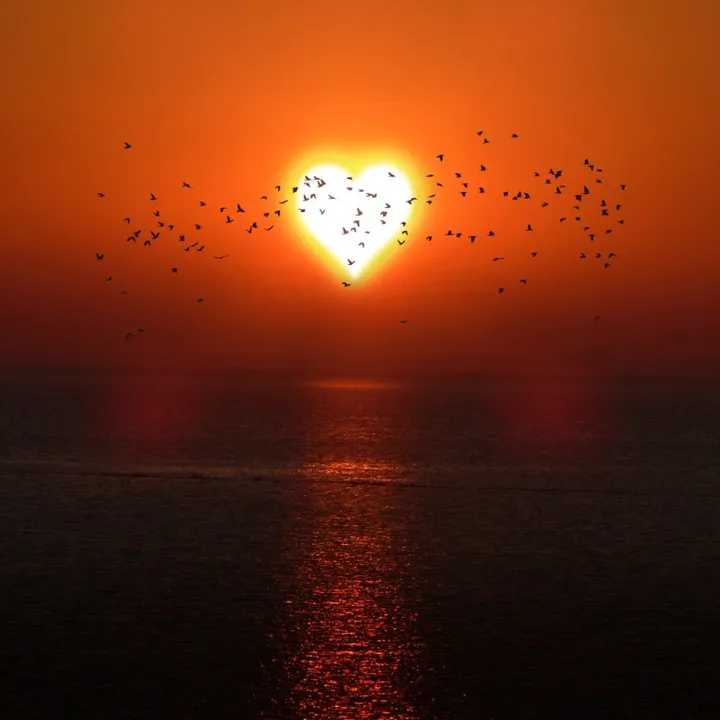 @sunset68688