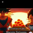 @johan.segovia5
