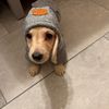 el.chapo.the.ween