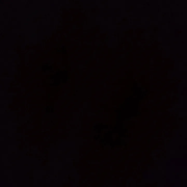marian.vglse