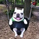 @vic_racing1