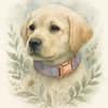 moonlife.labrador