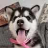 freyaandkuma