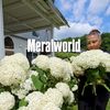 meralworld