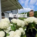 @meralworld