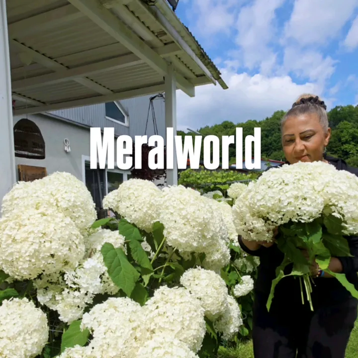 meralworld