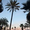lamaspro_158