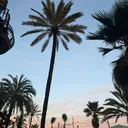 @lamaspro_158