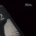 @usrr.nes03