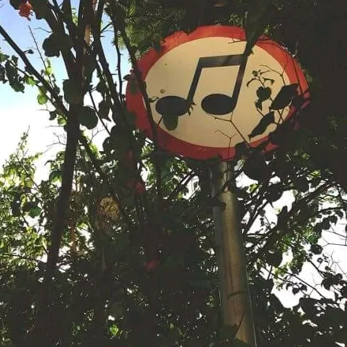 songvzz