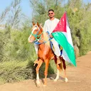@waleedelsaeedy