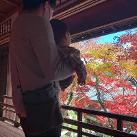 24saisingulfaza.jp