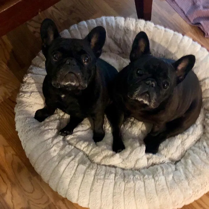 rosieandjaxx