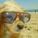 @babysurfista