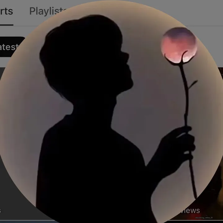 interesting_videos_02
