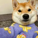 @lrdgdwxpq03212