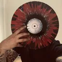 @jonnyserra2497