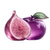 fi.gplum