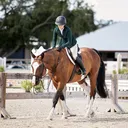@.ktm.equestrian