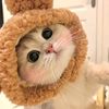cutecatterr