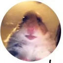 @bommerrangg