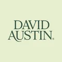 @david_austin_roses