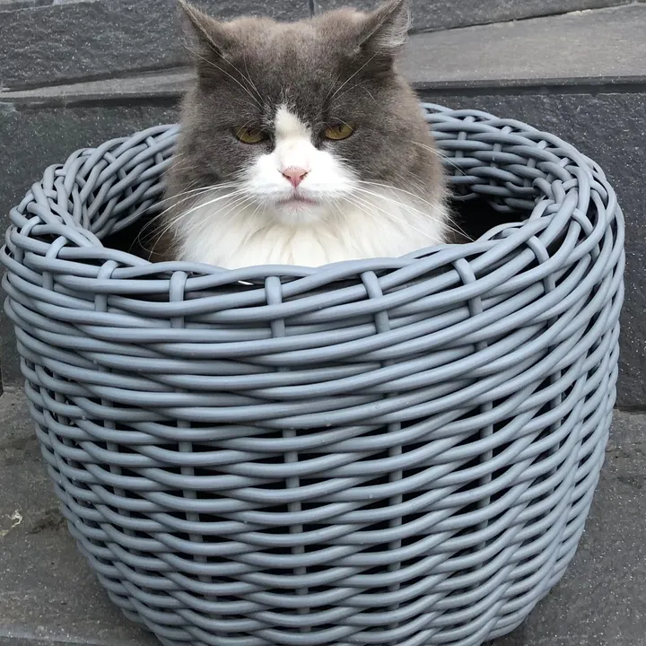 hou_seandgarden