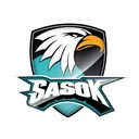 @sasoksport