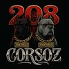 208corsoz