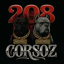 @208corsoz