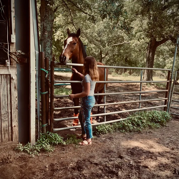 @makenziepankey793
