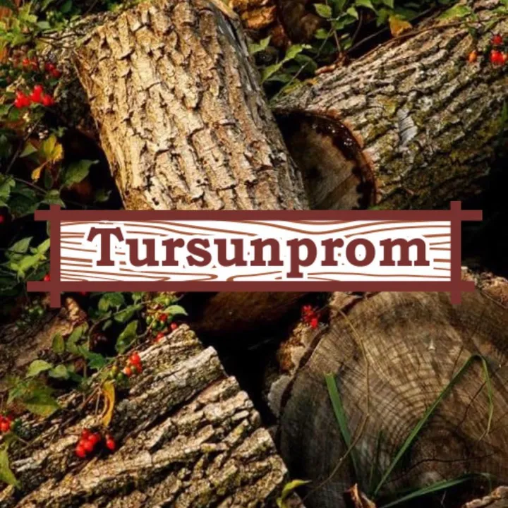 tursunprom