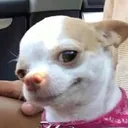 @llitzyy._