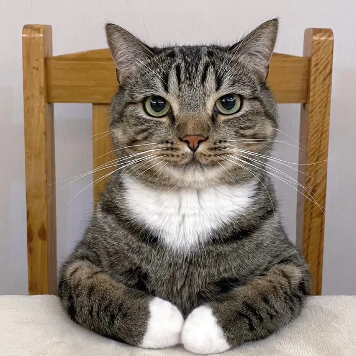 siemeringjinwrigh