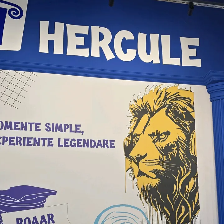 hercule.vaslui