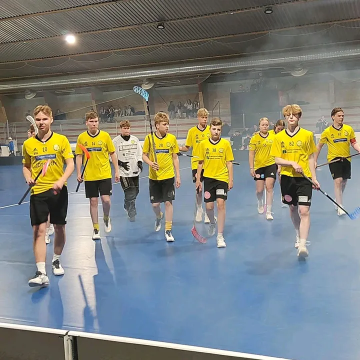pss_pojatp16jap19