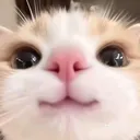 @officialzett