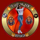 @botoasa03