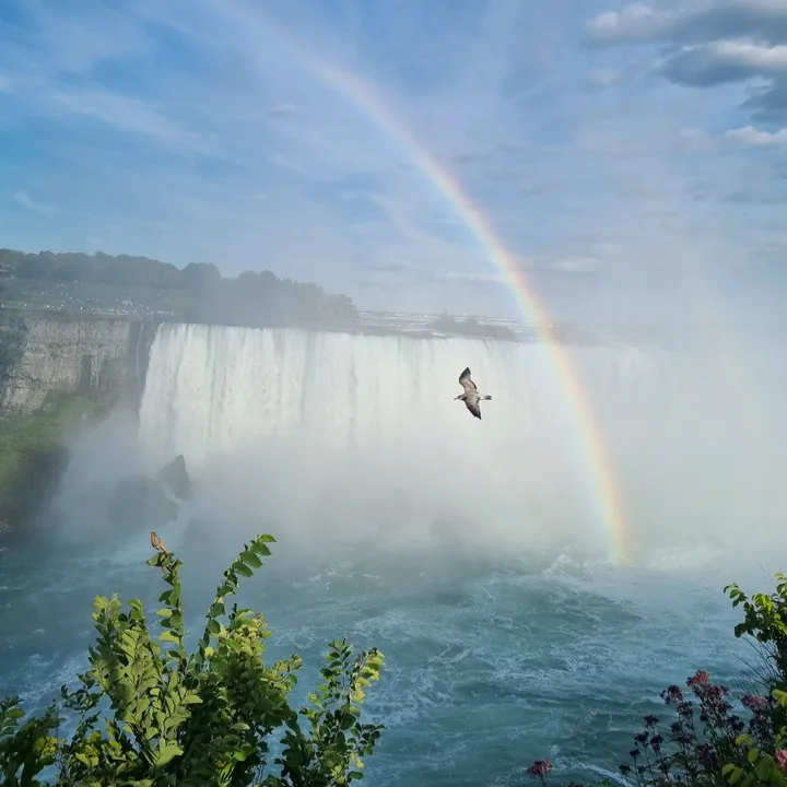 currently_in_canada