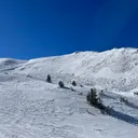 @brezovicatoday