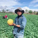 @j35kankaset