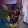 animals_by_alexg