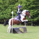 @ninas.pony.adventures