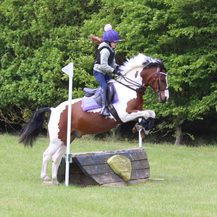 @ninas.pony.adventures