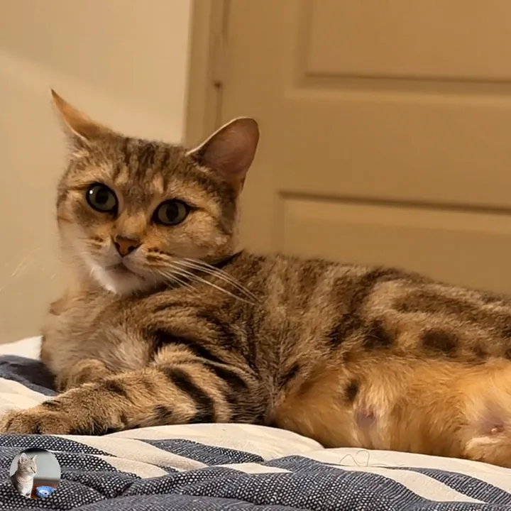 @lillykitty91