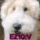 @ez10_v